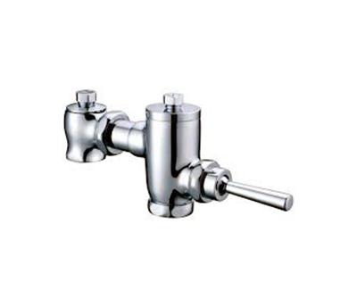 Flush Valve & Fittings